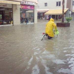 10806336_10153320872848776_874769755447407395_n