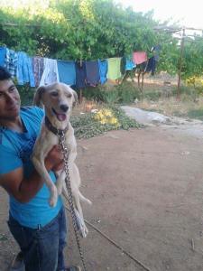 11539627_10153976014388776_4951958073598110232_n